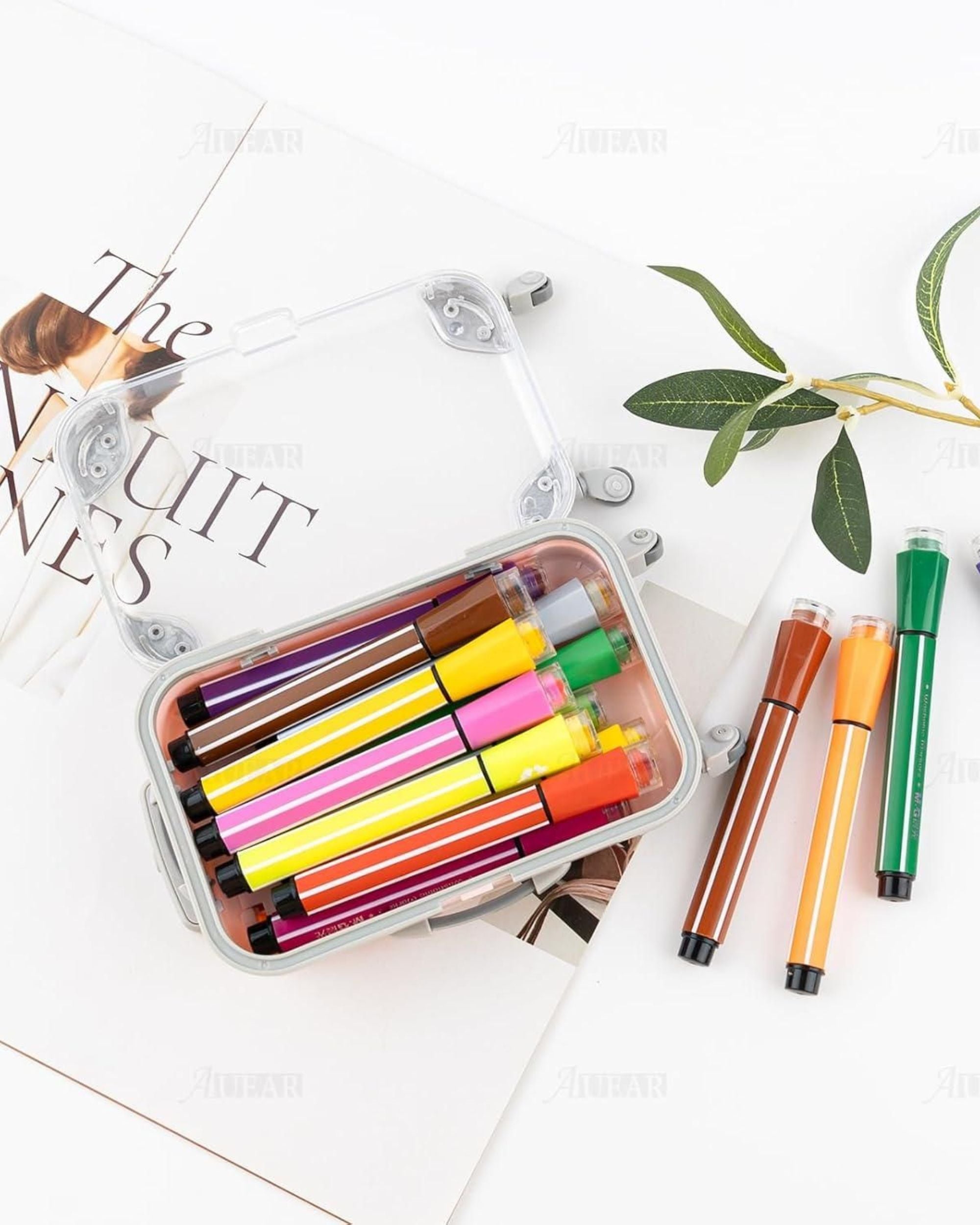 A Stylish and Compact Mini Trolley Suitcase